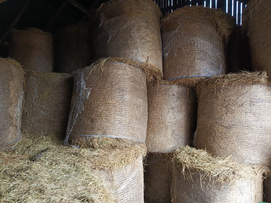 Sprzedam siano w balotach