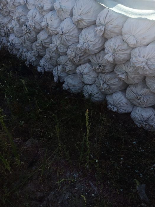 Продам сосновую кору