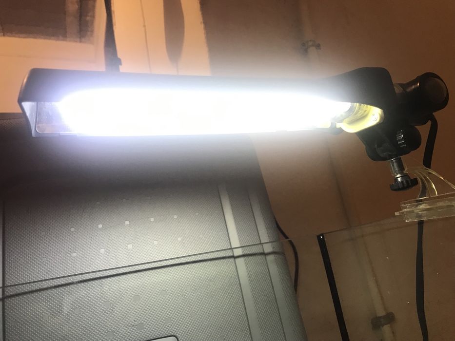 Candeeiro com Lâmpada UVB para tartarugas