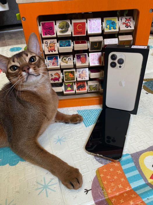 iPhone 13 Pro Max 1 terabyte