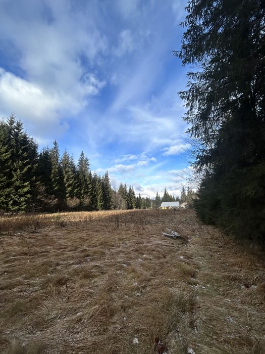 Остання ділянка біля Говерли | 10 соток