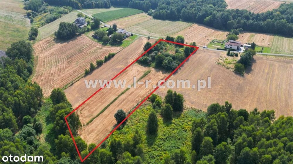 Atrakcyjna Działka W Sąsiedztwie Lasu - Widok 2