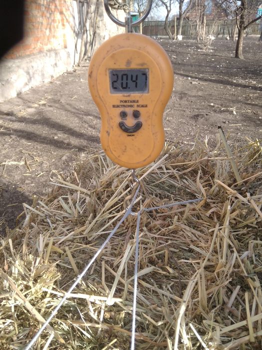 Продам тюки сіна