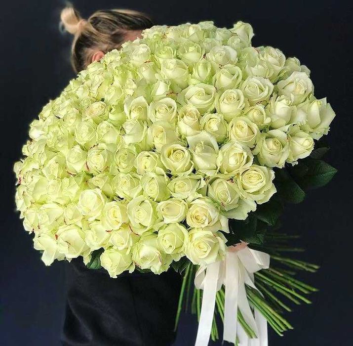 Свежая роза, доставка цветов Днепр, букет 151 роза, цветы