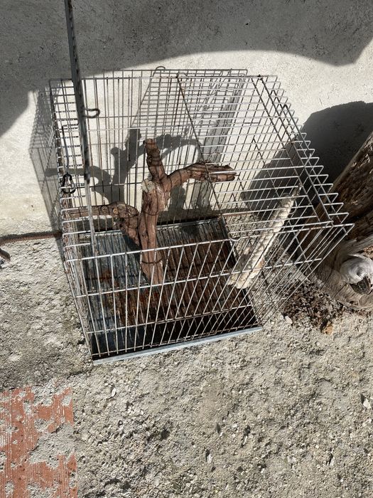 Gaiola para papagaio