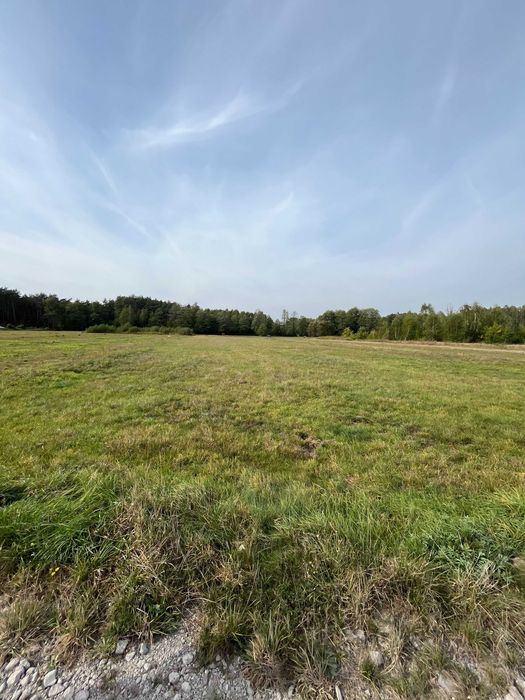Działka rolno-budowlana - Widok 2