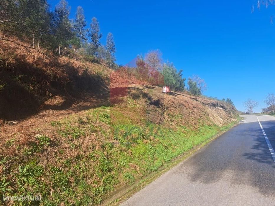Terreno florestal, Valões — Vade, Braga