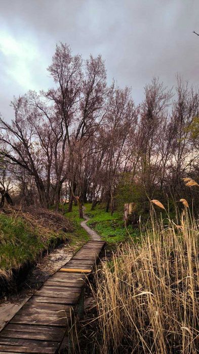 Оренда Дома Днепр отдых за городом. Посуточно. Баня, ЧАН. Сапы, каяки