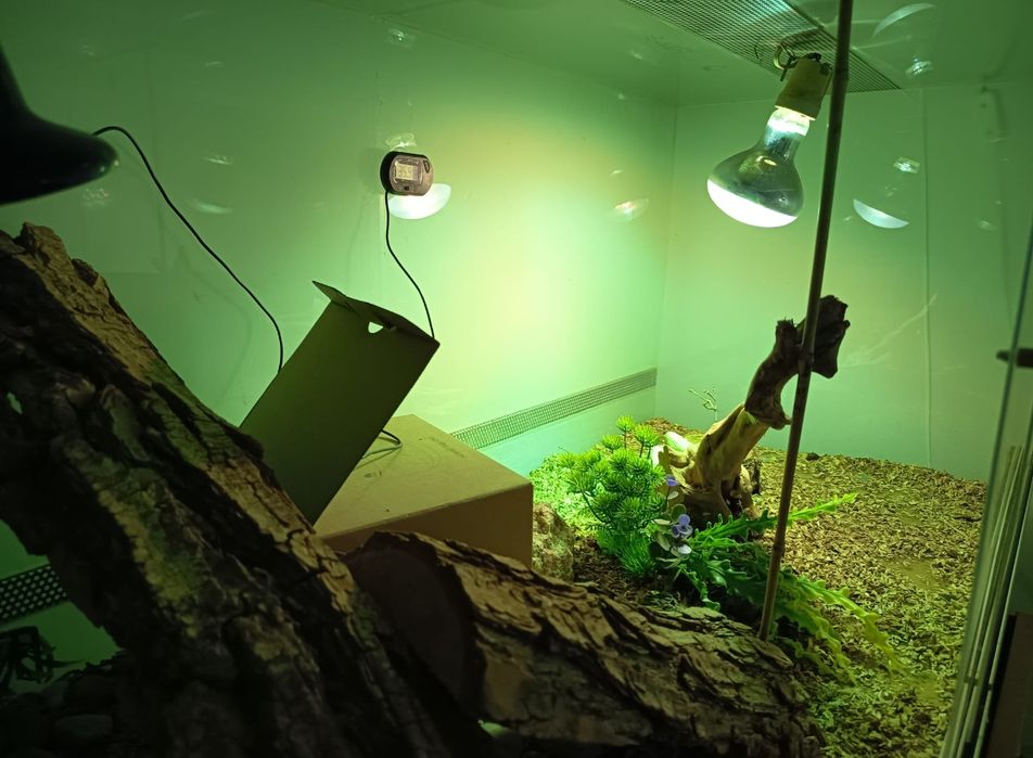 Terrario 1.50x 55x50