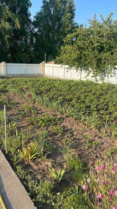 House by the address st. Lesi Ukrainki per (area 300 m²) - Atlanta.ua - photo 2