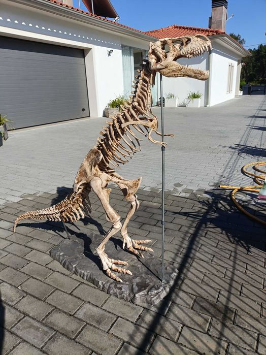 Escoleto de dinossauro