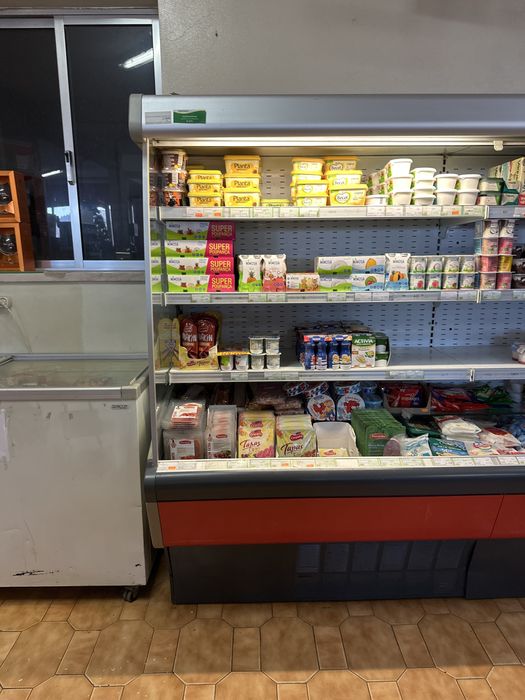 Arca refrigeraçao laticinios