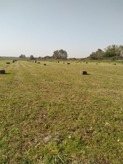 Прадам тюки сино - солома