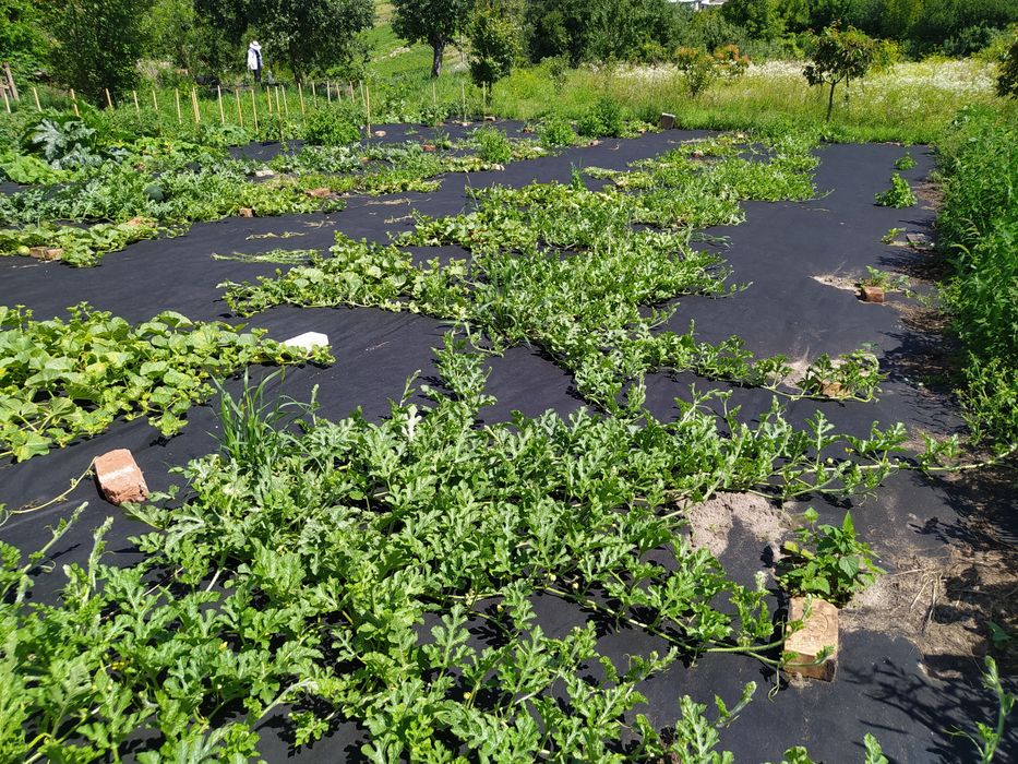 Будинок 80 м² 26 оот. У Луцьку