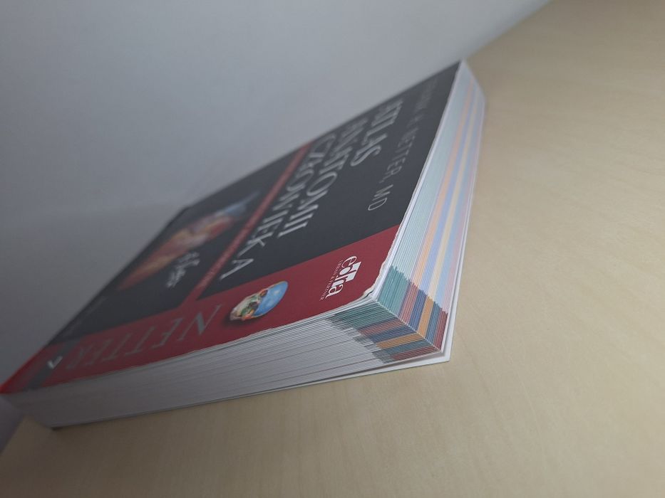 Frank Netter Atlas anatomii człowieka