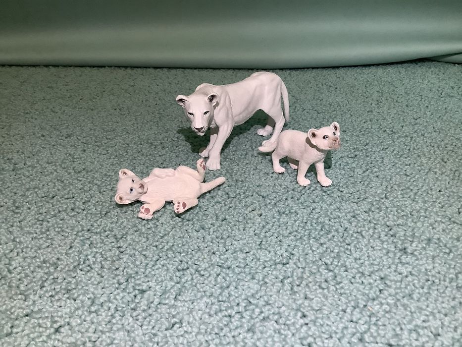 Dzikie koty Schleich zestaw