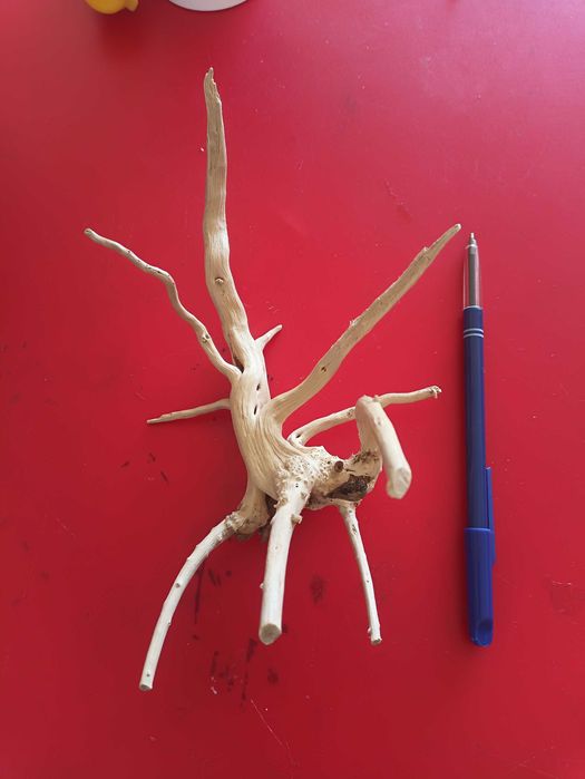 Troncos para aquário +/-20 cm