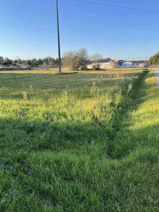 Terreno com 2600 metros quadrados