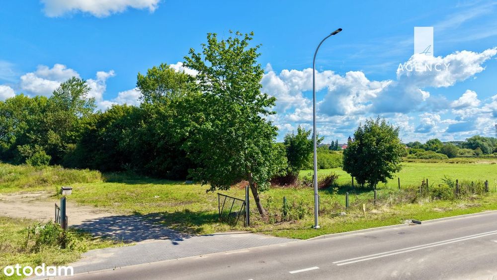 Zdjęcie 8