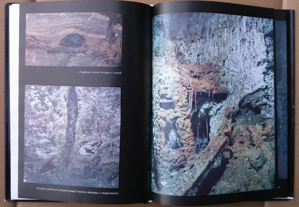 Wieliczka Siedem wieków polskiej soli