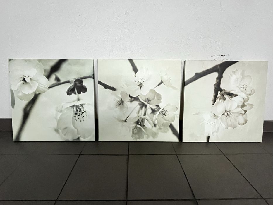 Conjunto 3 Quadros Flores Preto Branco