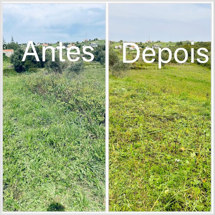 Limpeza de terrenos