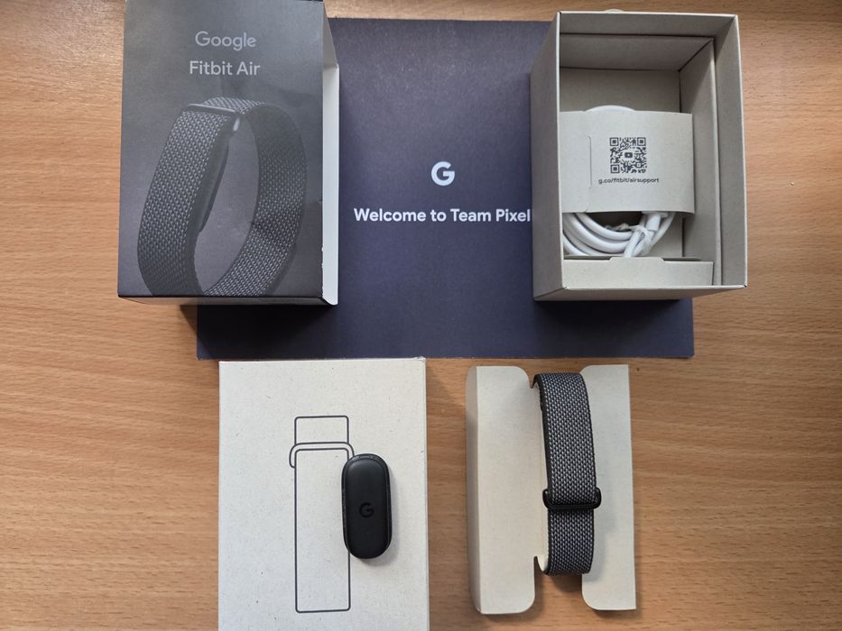 Google Fitbit Air