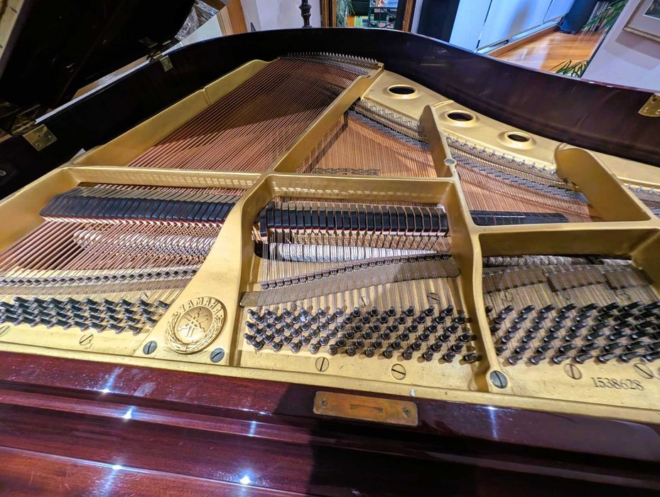 Piano de Cauda Yamaha G1