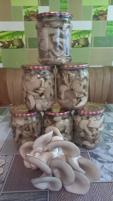 Маринована Глива (вешенка)