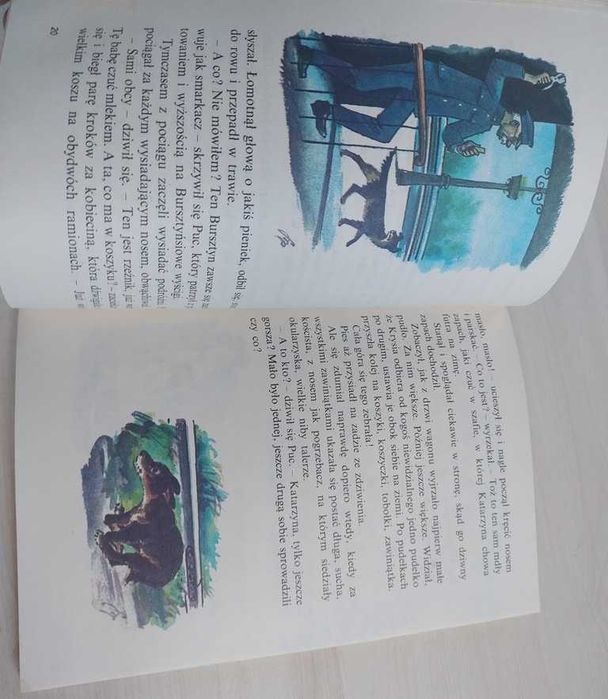 Puc Bursztyn i goście Jan Grabowski świetna książka dla dzieci