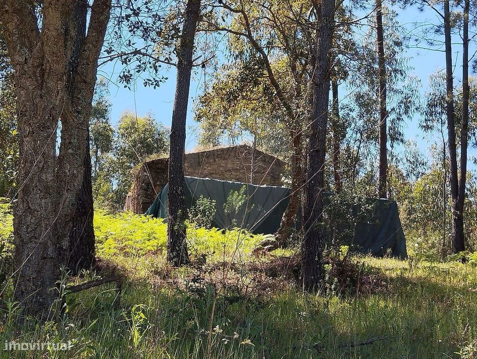 Terreno  para venda — Mouriscas, Santarém