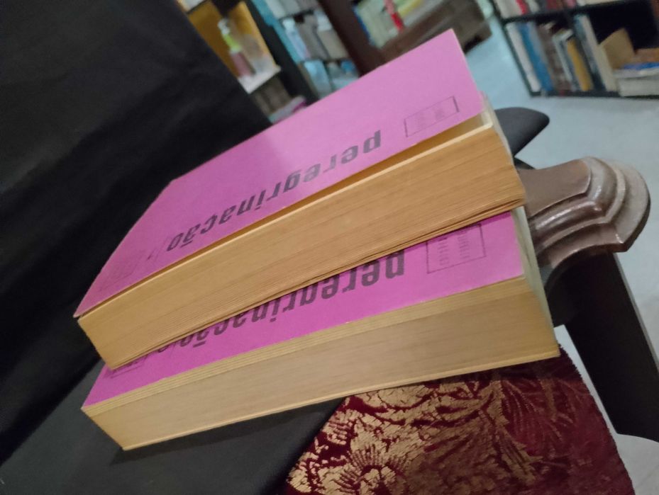 Peregrinação - Fernão Mendes Pinto (II Volumes)