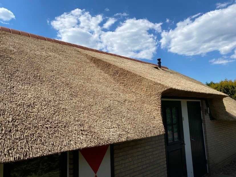 strzecha trzcina dachy trzcinowe