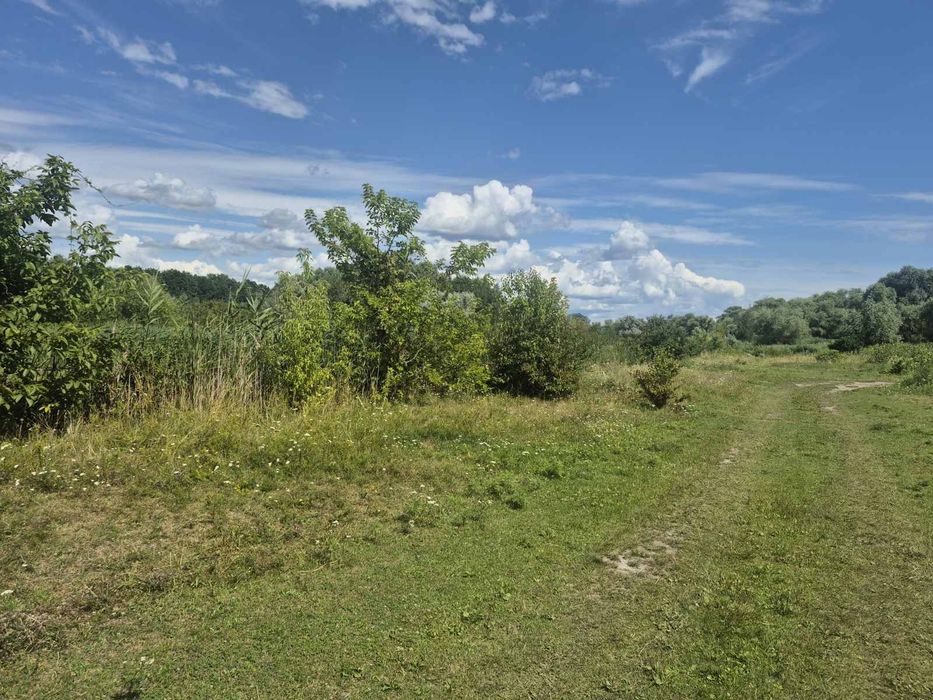 Земельна ділянка 20 соток у Дахнівці — прямий вихід до води - Вид 3