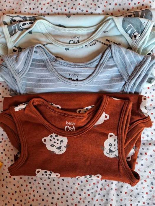 Bodies 24-36 meses