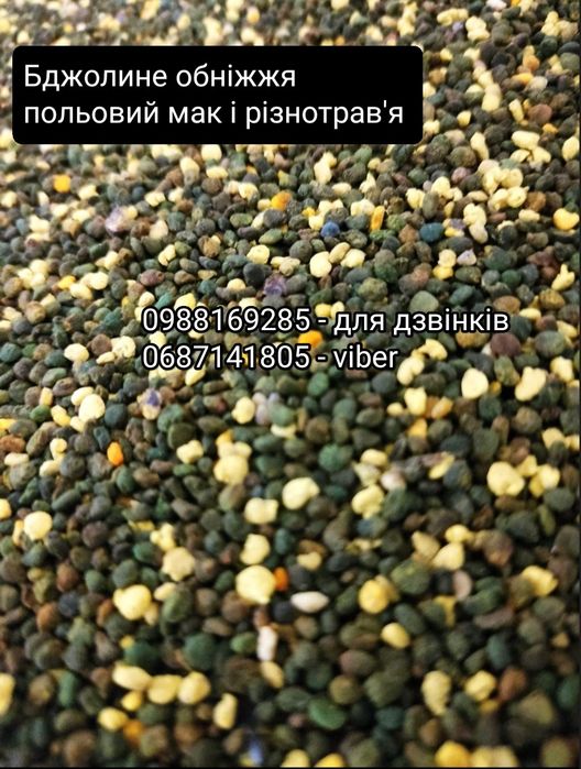 Бджолиний  пилок