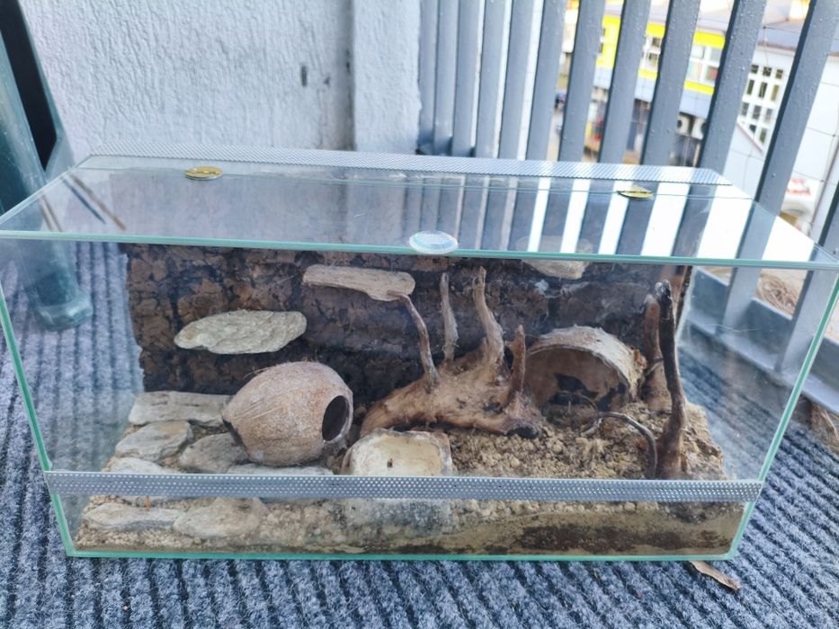 terraria na sprzedaż