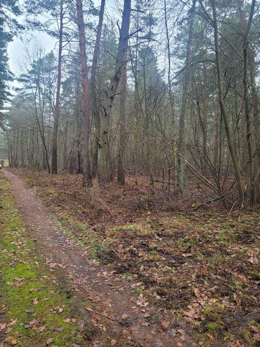 Działka letniskowa blisko Narwi