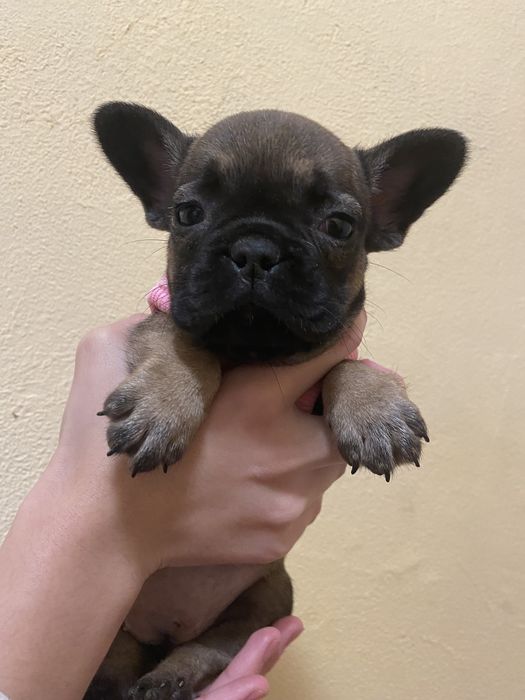 Мальчики и девочки )