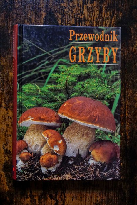Grzyby - przewodnik Ewald Gerhardt