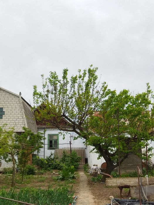 Будинок в м. Миколаєві (Корабельний район)