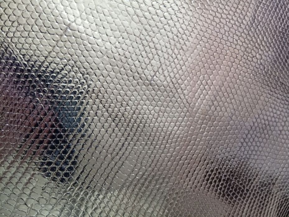 Екзотична шкіра ІГУАНИ