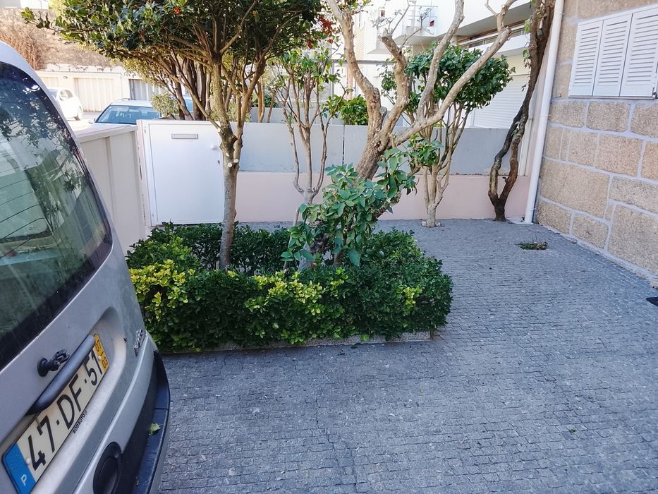 Prestacao de serviços de jardinagem