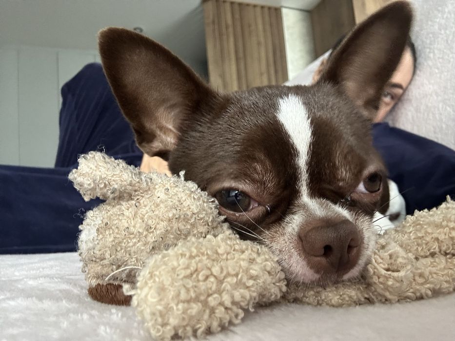 Красунчик шукаю подружку для серьозних відносин