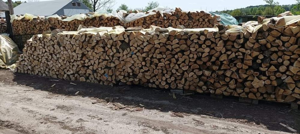 Drewno kominkowe liściaste: buk,dab