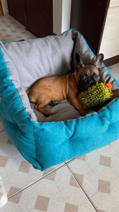 Автогамаки. 45*50 см. Колір сірий