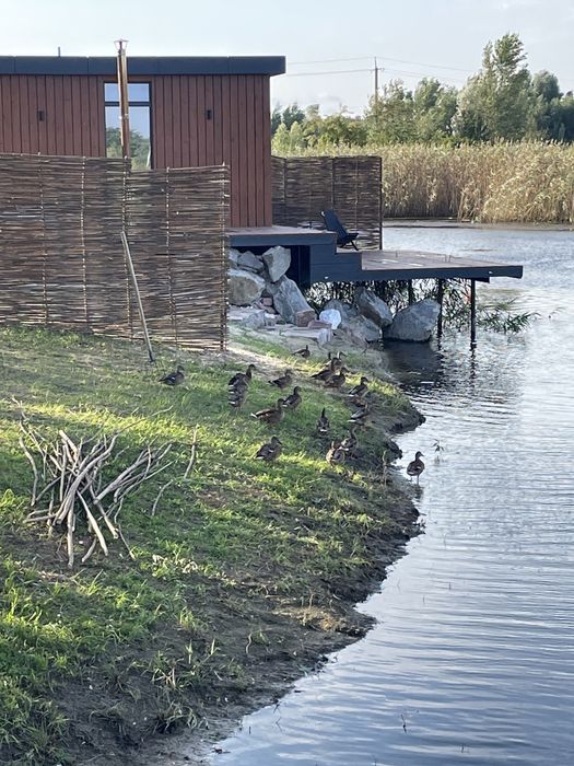 Чан, баня, оренда будинків з пляжем