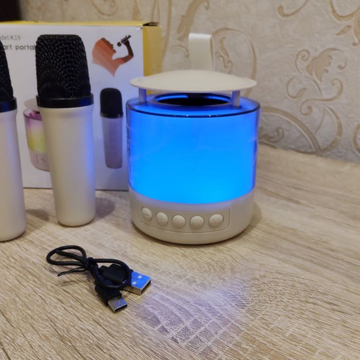 Караоке Bluetooth колонка із двома мікрофонами