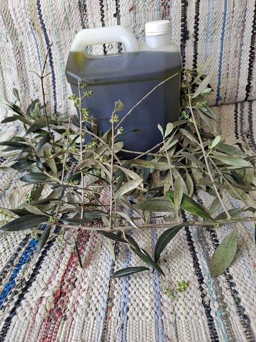 Azeite Biologico