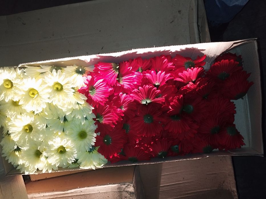 Sztuczne kwiaty, wiązanki, elementy, NOWE. Święto zmarłych, grób.